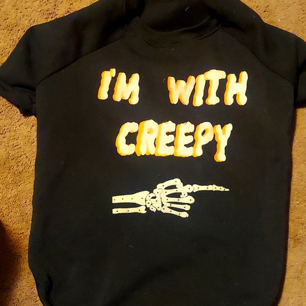 Dog Halloween sweatshirt. Lights up!
